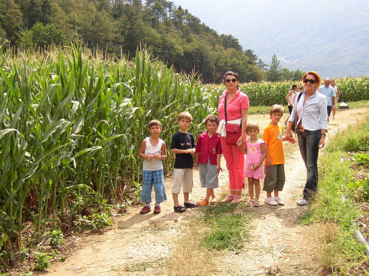 Ca' Dei Boieti Casa Vacanze 론조 키에니스 외부 사진